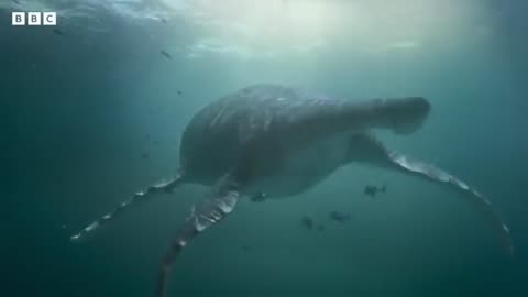 Colossal Sea monster unearthed in UK - BBC NEWS