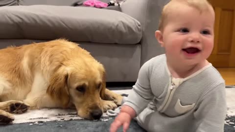 Cute baby with friendly dog 🐶 👶