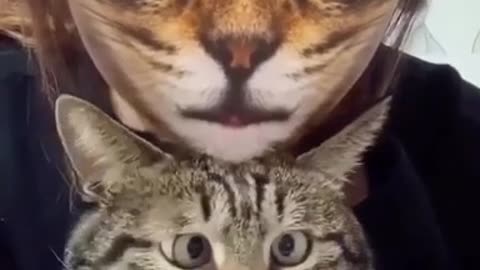 Cute pets 😁😀 My cat is horrified