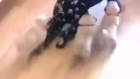 Cute baby walking with dog 🐕😜