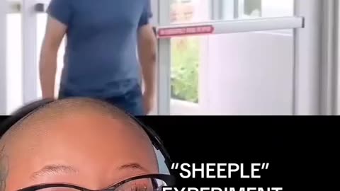 Sheeple Experiment Confirmed Humans are sheep