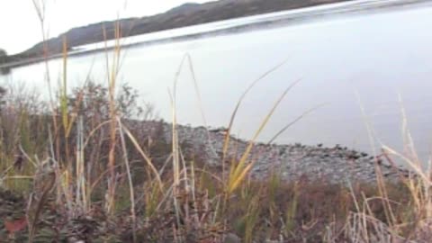 Cusacks Alaska Lodge Brown Bear Hunting