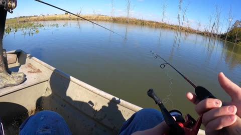 Crappie Crappie Crappie