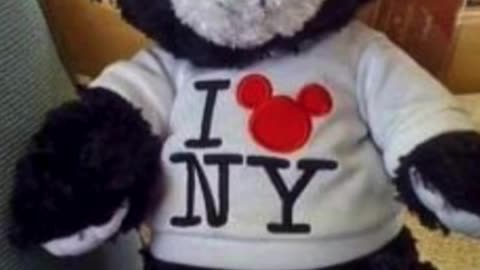 World Of Disney New York Disney Mickey Mouse Bear Plush Doll #shorts