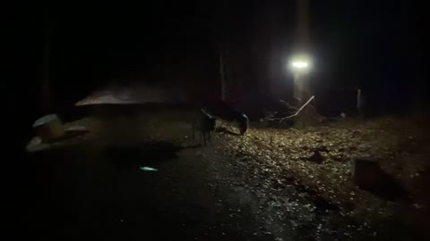 This is what country living looks like at night: SHTF