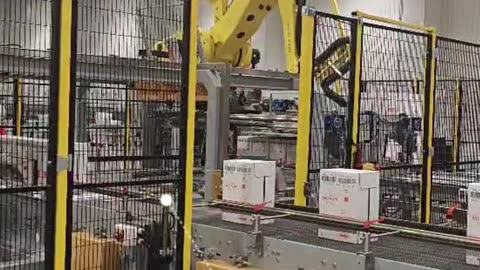 Automatic robot palletizer for cartons with roller gripper #packing#palletizer#foryou#industrial