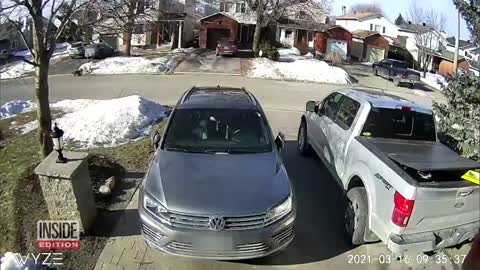 Dog Stops Car to Help Save Owner Who Suffered a Seizure_1