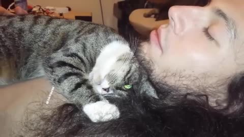 Cats Loves Their Master