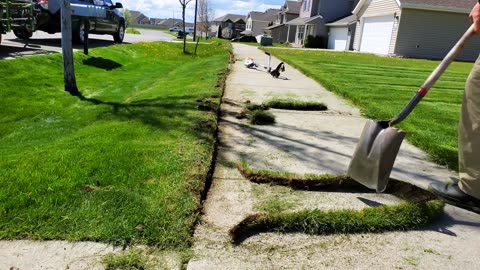 High School Teen AVOIDED This OVERGROWN Lawn So I Had To CLEAN It All Up