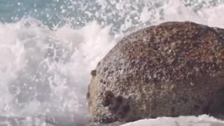 Sea Wave Touching the Stone Feel the Nature of Sea