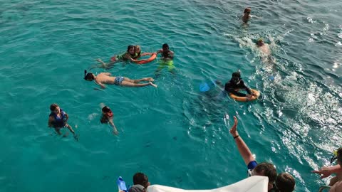 Swimming and snorkeling in the open sea