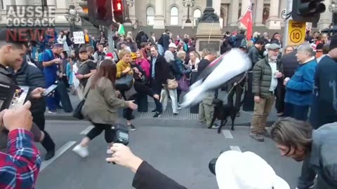 Effigy of Premier Dan Andrews Gets Bashed in Front of Parliament