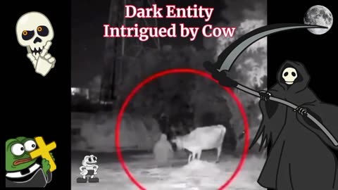 DARK ENTITY INTRIGUED BY A COW