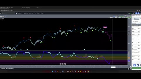 TMT Report: Stocks Bounce - What Next?