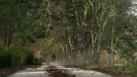 The Walking Dead 11x24 Daryl Leaves To Find Rick Ending Scene Season 11 Episode 24 [HD]