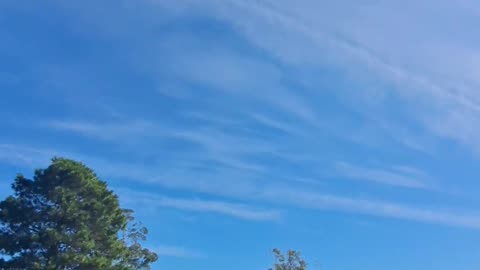 Aerial spraying Sydney 28 April 2023