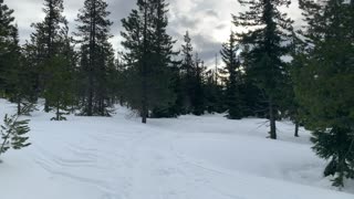 Exploring Willamette National Forest – Potato Hill Sno-Park – Central Oregon – 4K