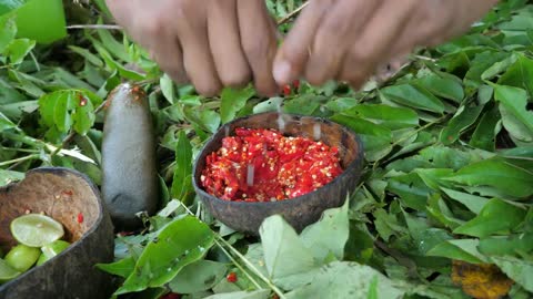 Shrimp eating in jungle, cooking on a rock | Primitive Wildlife-16