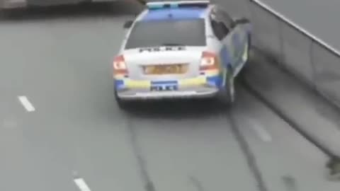 Wow, what did the driver do?