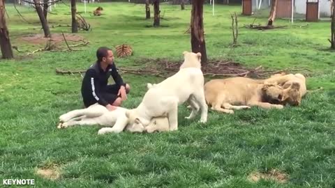 Animal HEROES Protecting Their Owners