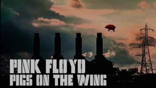 Pigs on the wing (cover)