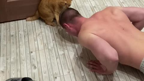 Kitty Keeps Push Up Pace With Head Scratches
