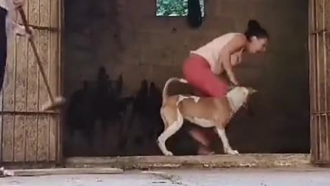 Girl VS dog funny video