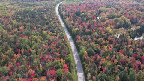 10 Curves Road, CR-98, in Michigan's Upper Peninsula - Autumn Colors 2023