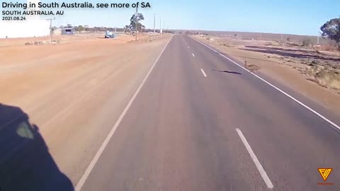 Emu cross the road 2021.08.24 — SOUTH AUSTRALIA, AU