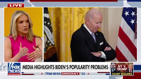 EXCLUSIVE: Dana Perino_ Biden and Harris are very concerned Fox News Live