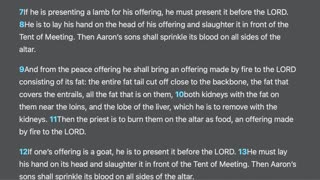 Leviticus 2-3