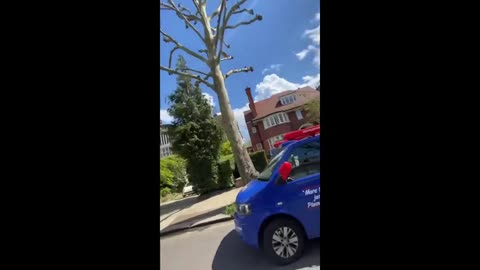 Bicyclist Takes his Pet Macaws to Fly Around the Neighborhood