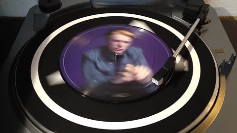 David Bowie - Wild is the Wind - 7" Picture Disc Record Store Day Exclusive