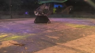 RoboRiots BT Young Scientist Dublin 2020: Beast Vs Iron Awe 6 (3rd fight)