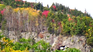 Fall Foliage