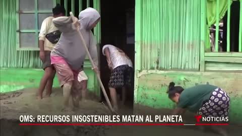 Planeta Tierra: Capturan por error un enorme pez luna en España