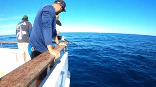 10 Day fishing trip aboard the Intrepid Sportfishing boat! Part 2