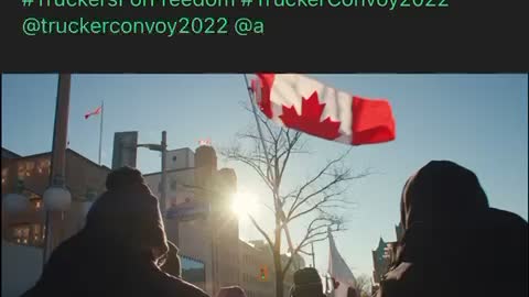 FREEDOM CONVOY 2022 Canada 🇨🇦