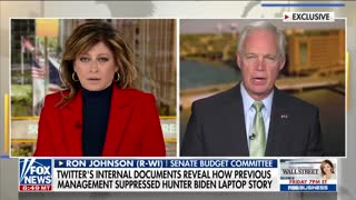 Every American 'should be concerned about this': Sen. Ron Johnson