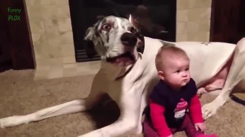 Funny Babies and Animals Video THE BEST