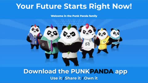 PunkPanda Overview Presentation 2022