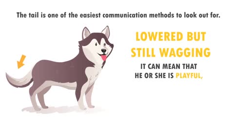 Understanding your dog and language better