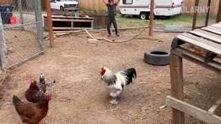 Fail Warrior - Funny animal/people FAILS