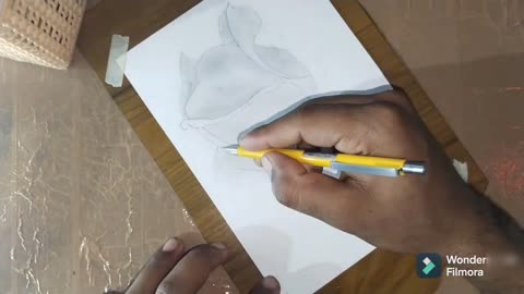 How to sketch a rose flower in pencil.
