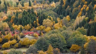 The Limits of Math: Study Shows Forests Are More Complex Than Thought