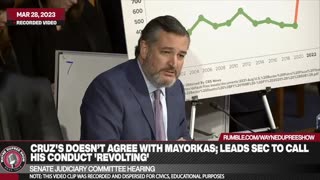 Cruz Can't Stay In His Seat Dealing With Mayorkas