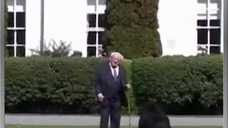 Irish President's Dog Barks At Biden