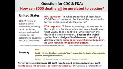 Vaccine Injured (15 of 28) Linda Wastila, MSHP, PhD - Science of Vaccine Safety