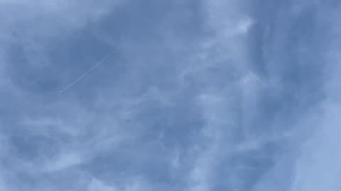 Chemtrails wszędzie rozpylają mieszankę grzybów z toksynami dla Plandemia 2.0.