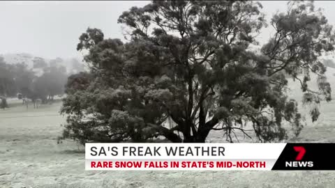 Snow falls in parts of South Australia amid